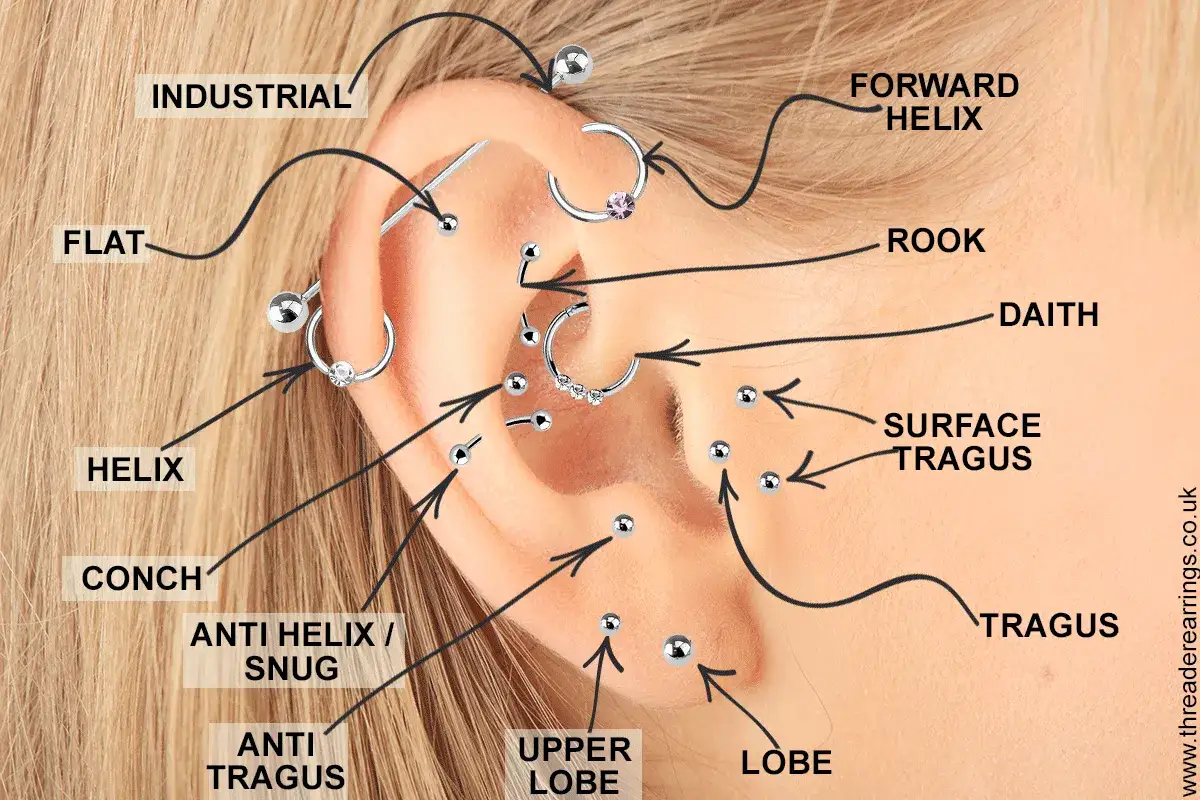 Schemat ucha z zaznaczonymi i nazwanymi przekłuciami: lobe, helix, tragus, conch i innymi.