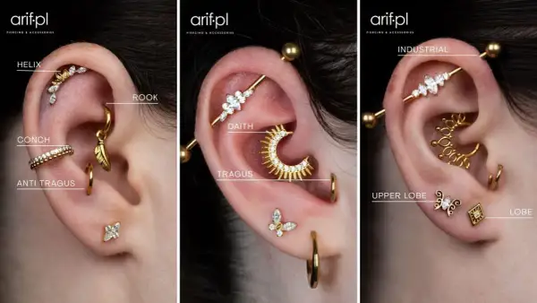 Złote kolczyki w uchu: helix, rook, conch, anti tragus, daith, tragus, industrial, upper lobe, lobe. Różne nazwy piercingów.